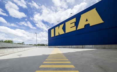 IKEA в России начала пристраивать бездомных животных