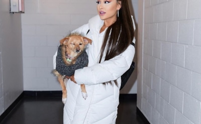 Песни Арианы Гранде на Spotify прослушали уже 3,5 млрд раз