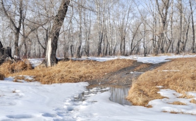 Синоптики не исключают морозов в марте