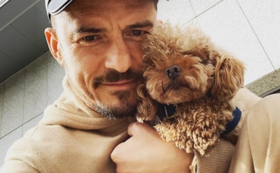 Орландо Блум исправил ошибку в тату с именем сына