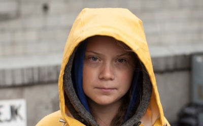 Украинских хакеров задержали за оскорбление Греты Тунберг