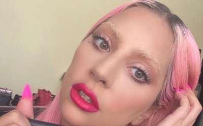 В честь Леди Гаги назвали новый вид насекомых