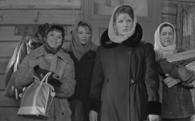 7 интересных фильмов о дружбе