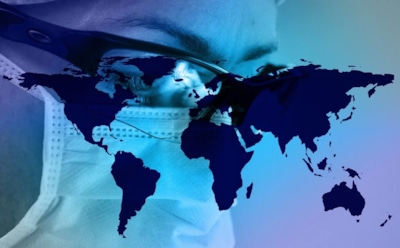 Единственная собака с коронавирусом умерла в Гонконге