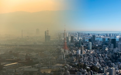 Как коронавирус повлиял на экологию: неожиданные последствия карантина