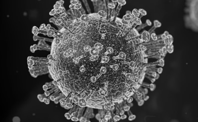 27-летняя беременная пациентка с COVID-19 умерла в Дагестане