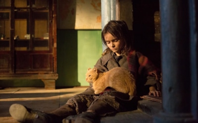 Фильм «Война Анны»: сюжет, актеры, интересные факты