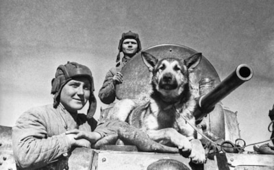 Сериал «Джульбарс»: что на самом деле произошло под Легедзино