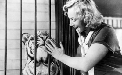 Фильм «Укротительница тигров»: ляпы и курьезы на съемках