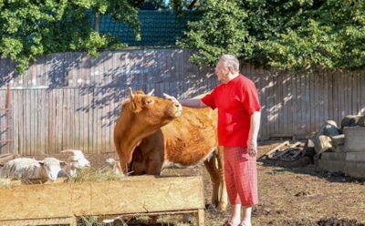 Жириновский поддержал запрет публикаций с хештегом #море