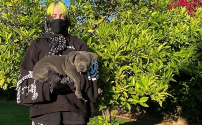 Билли Айлиш подала в суд на навязчивого поклонника