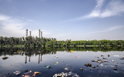 Мировые звезды предупредили о «метакризисе» после карантина