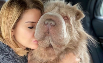 «Неудовлетворенная баба»: Орлова рассказала о скандале в ветклинике