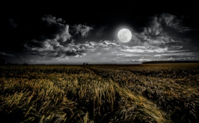 Лунный календарь на июль 2020: сила и красота