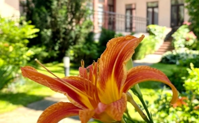 София Ротару показала на фото свой дом за $1 млн