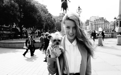 Обнародована личная переписка Эмбер Херд с Илоном Маском