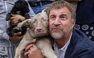 7 звезд, которые помогают бездомным животным