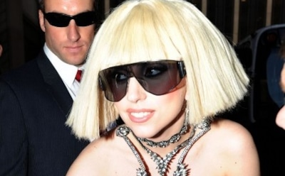 Собака с прической Леди Гаги покорила соцсети