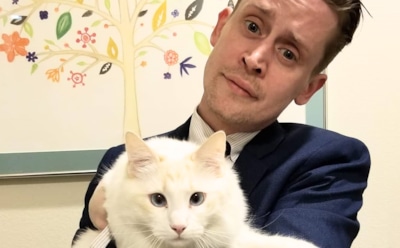 Маколей Калкин заставил поклонников почувствовать старость