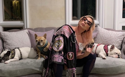 MTV признал Леди Гагу лучшей певицей года