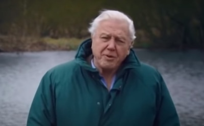 94-летний Аттенборо побил инстаграм-рекорд Энистон