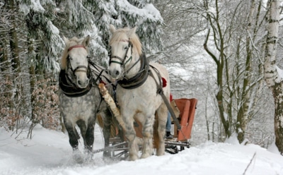 Прогноз погоды: какой будет зима 2020-2021 в России?