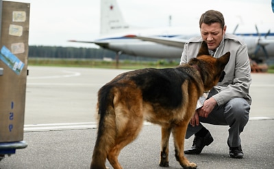 Фильм «Пальма»: сюжет, актеры, интересные факты