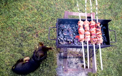 Россиянам пообещали «бесконечные штрафы» из-за майских шашлыков