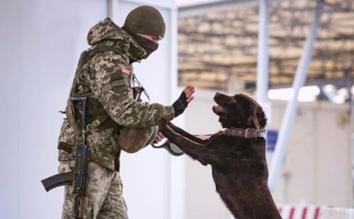 Украина ввела санкции против 11 артистов из РФ