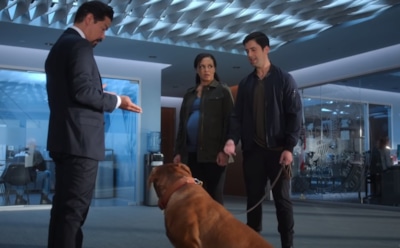 Полицейские-приятели: актеры сериала «Тернер и Хуч»