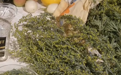 Экстракт полыни признан эффективным против COVID-19