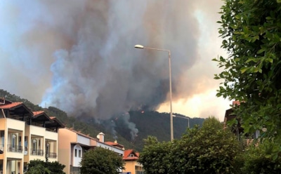 Пожары в Турции: последствия и последние новости