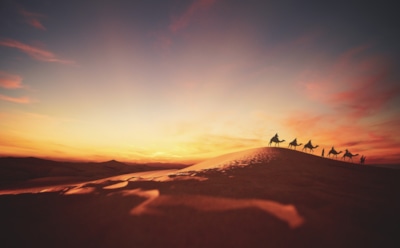 Самая большая пустыня в мире: от тропических до полярных