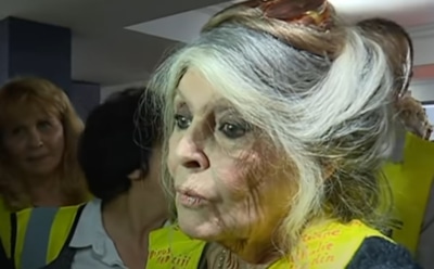 Брижит Бардо раскритиковала похороны Жан-Поля Бельмондо