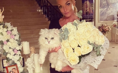 11 звезд, которые обожают своих котов