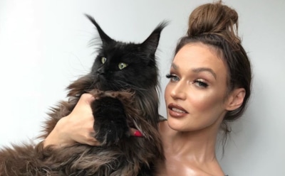 Алена Водонаева купила квартиру для кота за 19 млн рублей