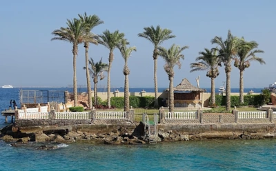 В Египте госпитализировали 40 российских туристов