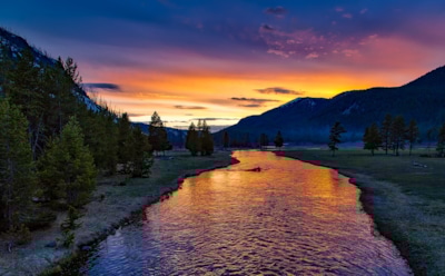 Интересные факты о реках всего мира: от Нила и Амазонки до Волги и Енисея