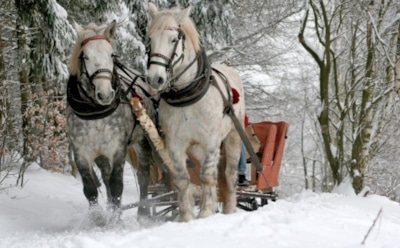 7 декабря: что нельзя делать в День святой Екатерины