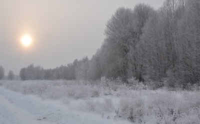8 декабря: что нельзя делать в Климентьев день