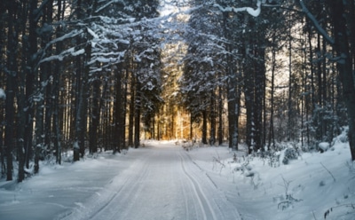 21 декабря: что нельзя делать в День мученицы Анфисы Римской