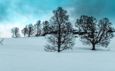 23 декабря: что нельзя делать в День Мины Александрийского