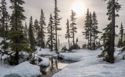 25 декабря: что нельзя делать на Спиридона Солнцеворота