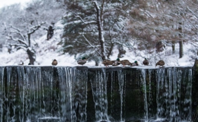 26 декабря: что нельзя делать в День Евстрата