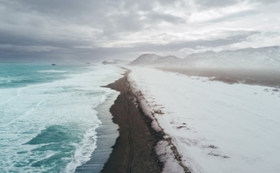 28 декабря: что нельзя делать в Трифонов день