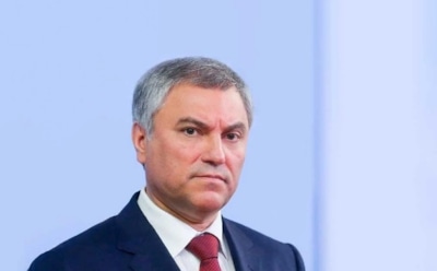 Володин прокомментировал убийство 5-летней Вероники в Костроме