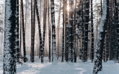 10 января: что нельзя делать в День памяти Никомидийских мучеников