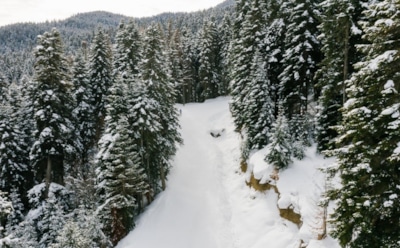 9 января: что нельзя делать на Стефанов день