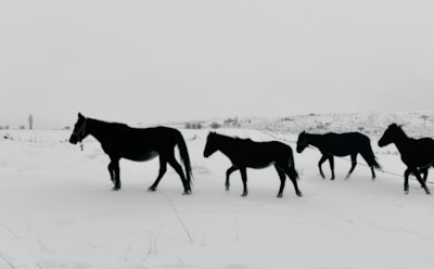 11 января: что нельзя делать в День святых Невинных Младенцев Вифлеемских