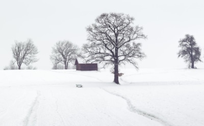 13 января: что нельзя делать в День памяти Мелании Римляныни